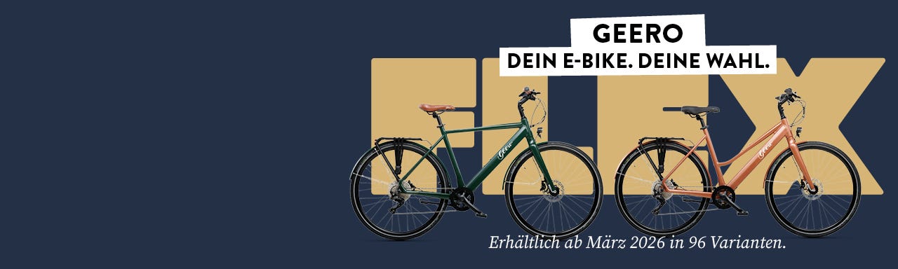Konfiguriere dein E-Bike