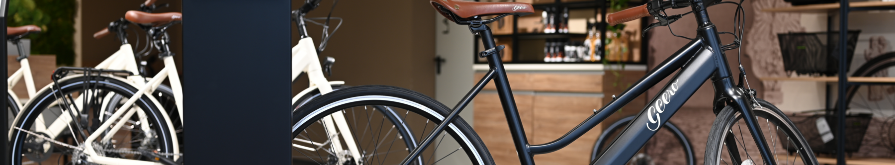 Geero E-Bike Store a Graz