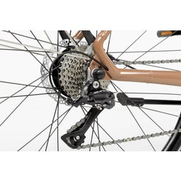 Geero 2 E-Bike Colour Edition Classic „Mocha“ - 54 (Für Körpergröße 170 cm - 185 cm)