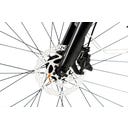 Geero FLEX E-Bike Pine 54 - schwarz & OLED Display