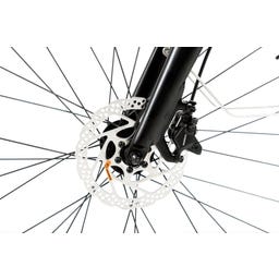 Geero FLEX E-Bike Gold 54 - schwarz & OLED Display