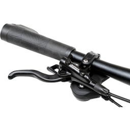 Geero FLEX E-Bike Pine 54 - schwarz & OLED Display