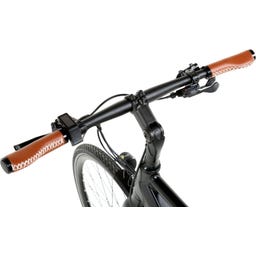 Geero FLEX E-Bike Cream 54 - braun & LC Display - gerader Lenker