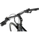 Geero FLEX E-Bike Pine 52 - schwarz & LC Display - gebogener Lenker