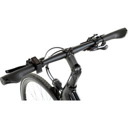 Geero FLEX E-Bike Cream 54 - schwarz & LC Display - gerader Lenker