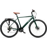 E-Bike Pine 54 - brown & LC display