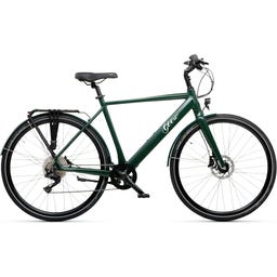 Geero FLEX E-Bike Pine 54 - black & LC display - straight handlebars