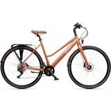 Geero FLEX E-Bike Copper 52 - braun & OLED Display