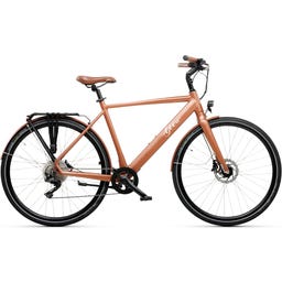 Geero FLEX E-Bike Copper 54 - braun & LC Display - gebogener Lenker