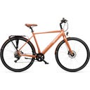 Geero FLEX E-Bike Copper 54 - brown & LC display - straight handlebars