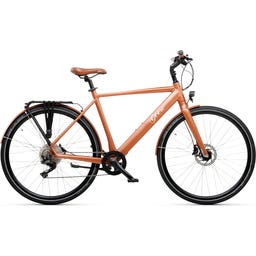 Geero FLEX E-Bike Copper 54 - brown & LC display - straight handlebars