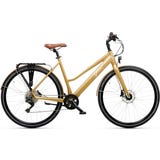 E-Bike Gold 52 - brown & LC display