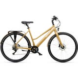 E-Bike Gold 52 - black & LC display