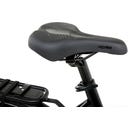 Geero FLEX E-Bike Gold 52 - schwarz & LC Display