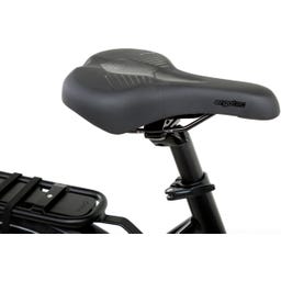 Geero FLEX E-Bike Gold 52 - schwarz & LC Display