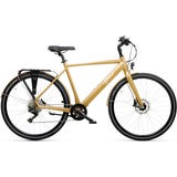 E-Bike Gold 54 - black & OLED display