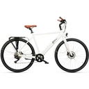 Geero FLEX E-Bike Cream 54 - braun & LC Display - gebogener Lenker