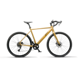 E-Bike Gravel Edition "Golden Dust" - 2023